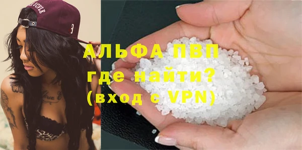 сатива Аркадак